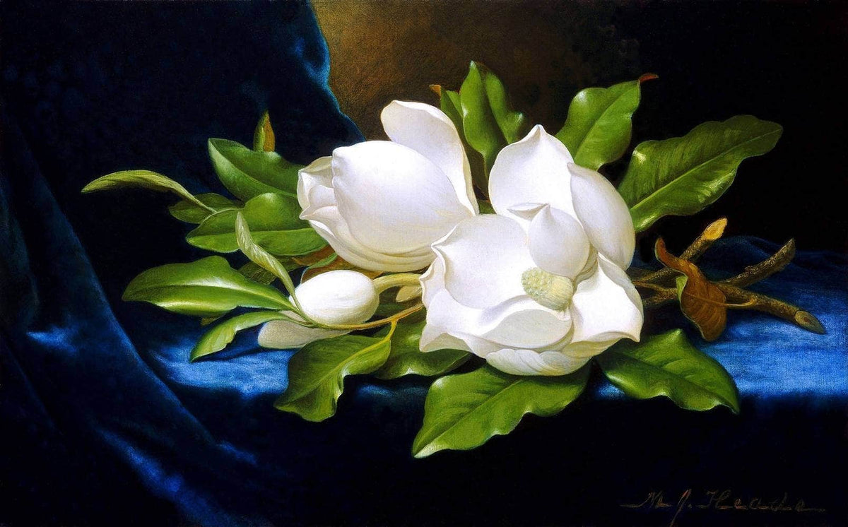 Giant Magnolias On A Blue Velvet Cloth Painting Martin Heade Canvas Art Fine Art Print