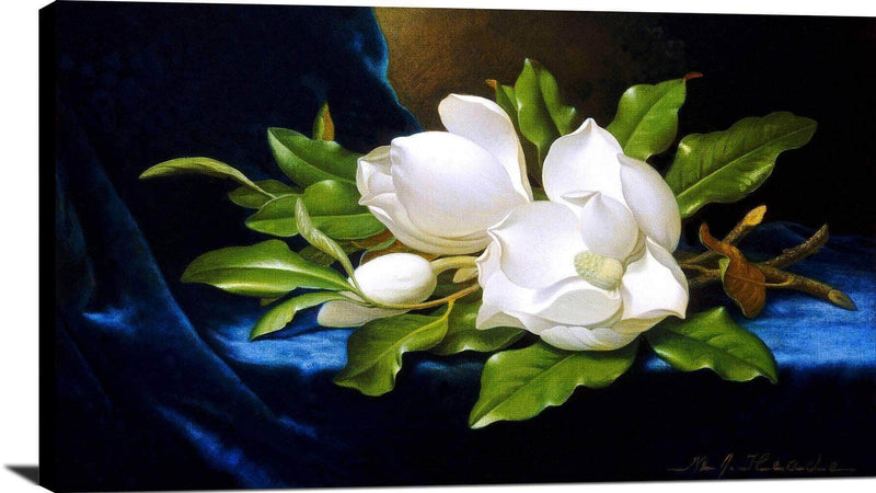 Giant Magnolias On A Blue Velvet Cloth Painting Martin Heade Canvas Art Fine Art Print