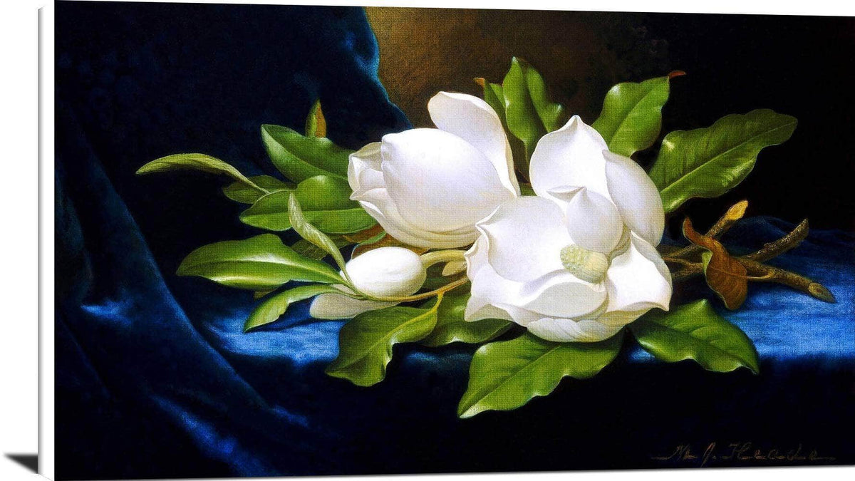 Giant Magnolias On A Blue Velvet Cloth Painting Martin Heade Canvas Art Fine Art Print