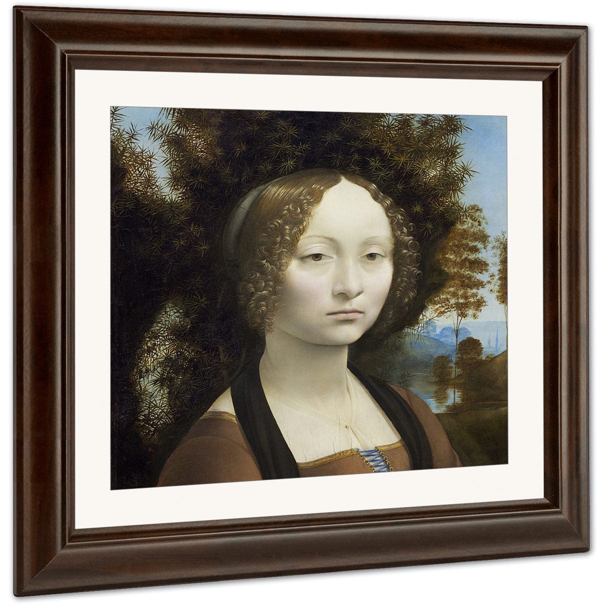 Ginevra De' Benci [Obverse] By Leonardo Da Vinci Fine Art Print