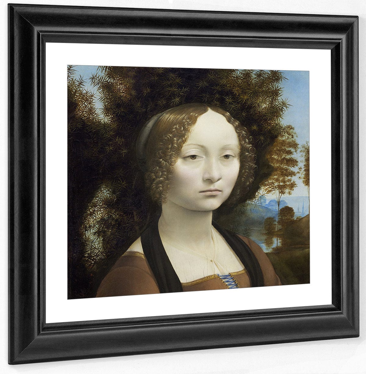 Ginevra De' Benci [Obverse] By Leonardo Da Vinci Fine Art Print