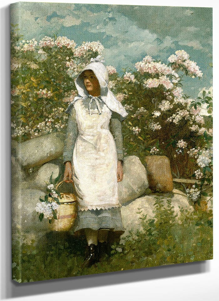 Girl And Laurel By Winslow Homer Fine Art Print