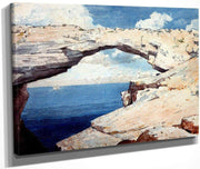 Glass Window Bahama By Winslow Homer Fine Art Print