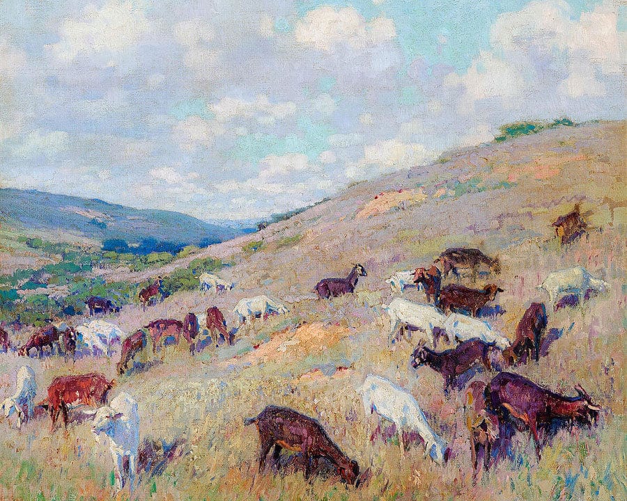 Goats On A Hillside, Pomona By Richard Edward Miller Fine Art Print