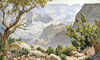 Grand Canyon By Gunnar Widforss Fine Art Print