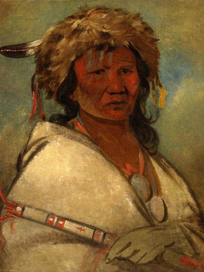 Great Hero, A Chief By George Catlin Fine Art Print