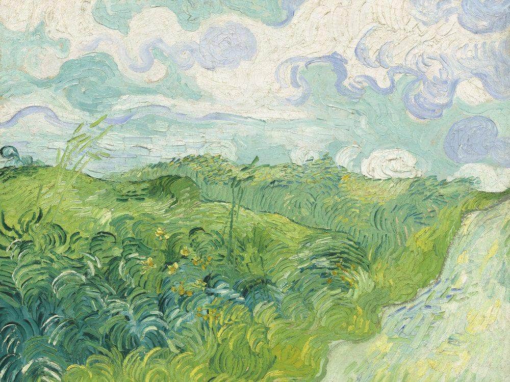 Green Wheat Fields Auvers By Vincent Van Gogh Fine Art Print