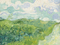 Green Wheat Fields Auvers By Vincent Van Gogh Fine Art Print