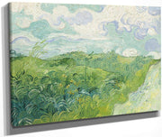 Green Wheat Fields Auvers By Vincent Van Gogh Fine Art Print