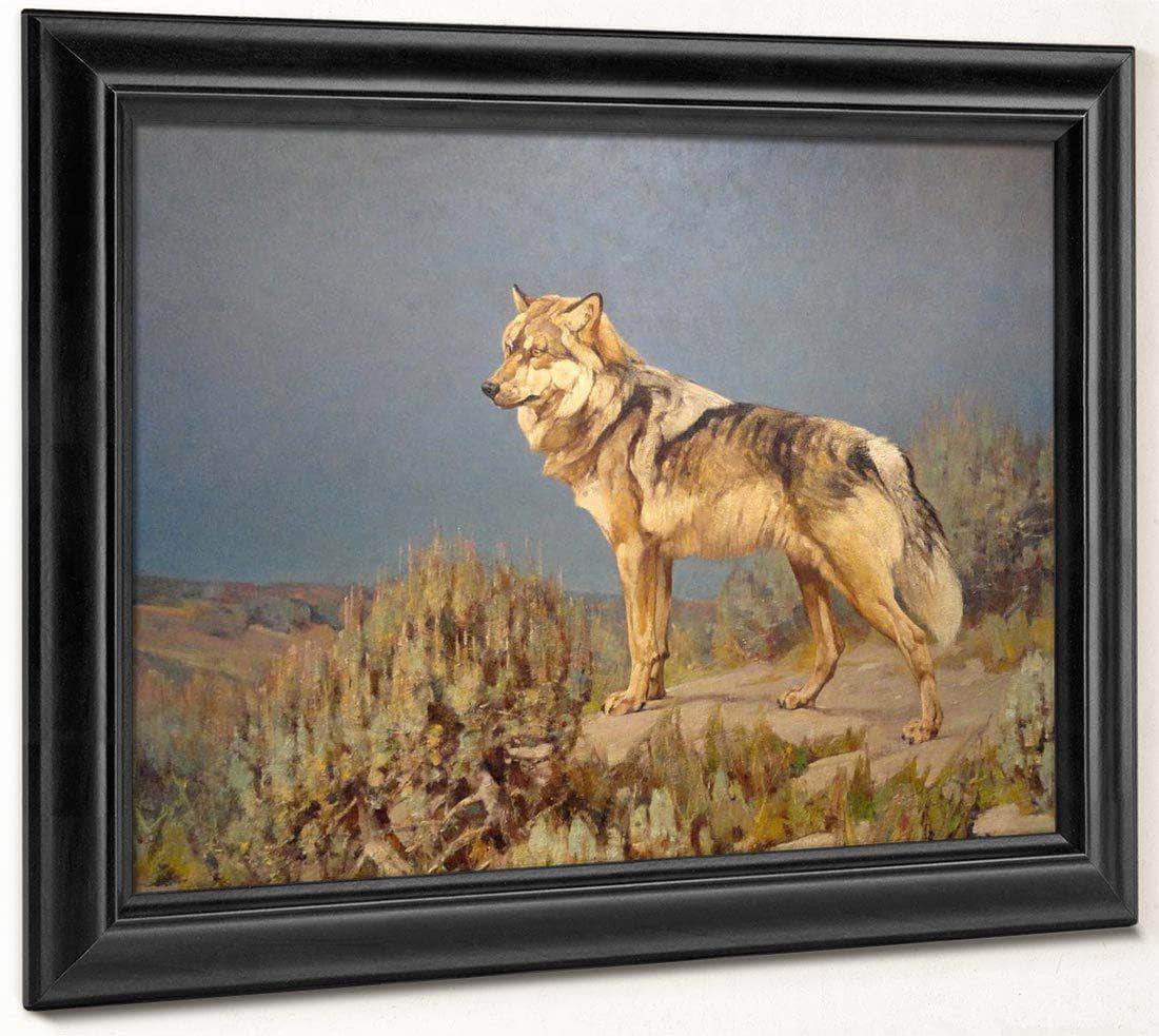 Grey Wolf Standing On A Bluff By Carl Rungius Fine Art Print