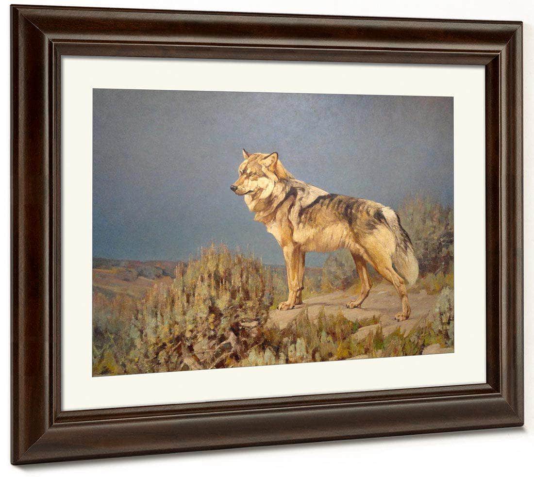 Grey Wolf Standing On A Bluff By Carl Rungius Fine Art Print