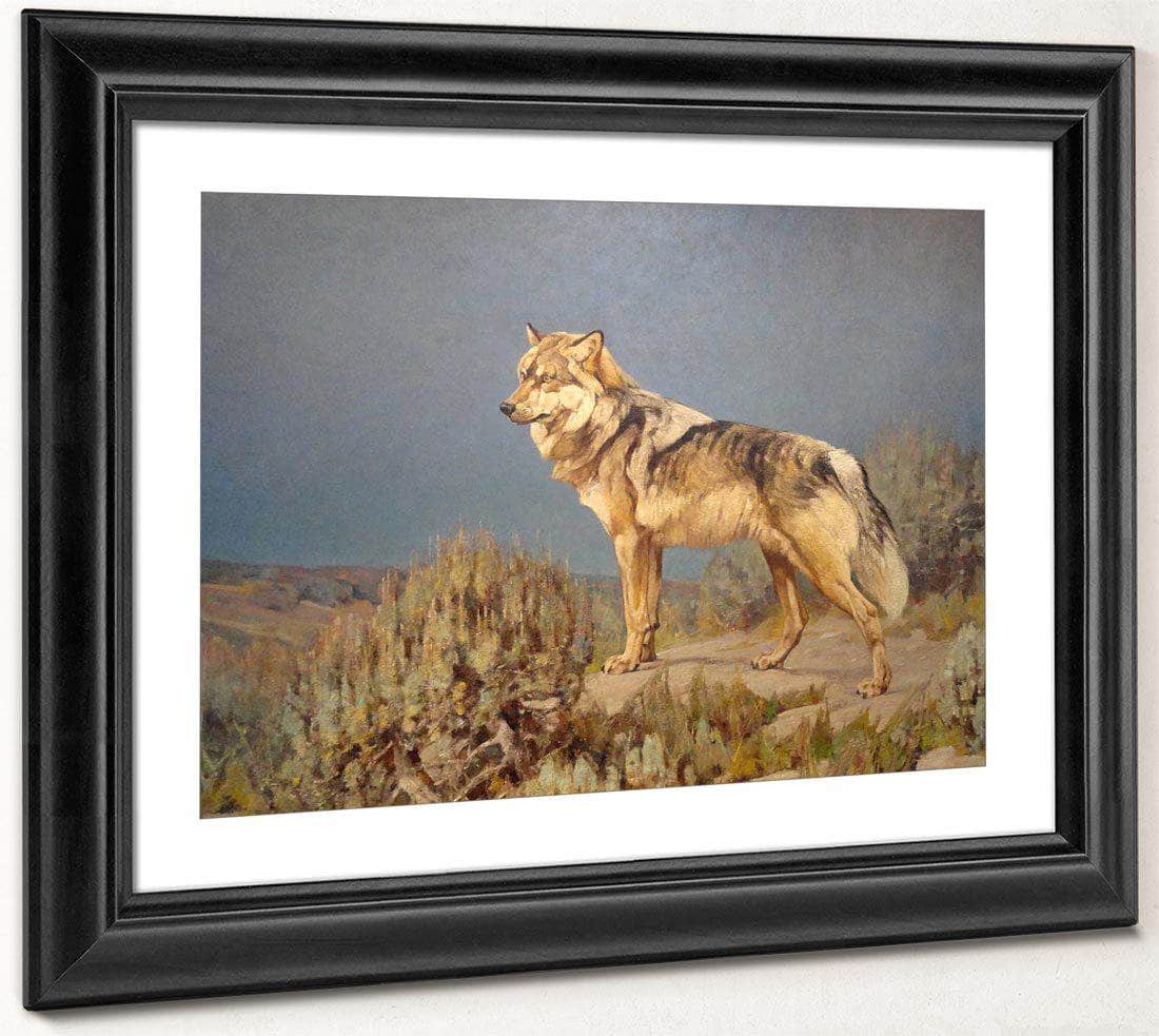 Grey Wolf Standing On A Bluff By Carl Rungius Fine Art Print