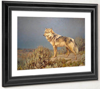Grey Wolf Standing On A Bluff By Carl Rungius Fine Art Print
