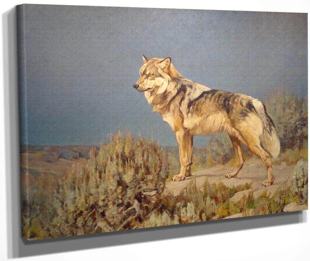 Grey Wolf Standing On A Bluff By Carl Rungius Fine Art Print
