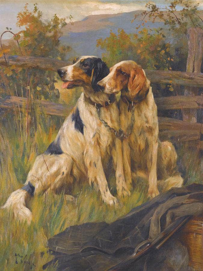 Gun Dogs By Arthur Wardle Fine Art Print