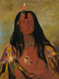 H'co A H'co A H'cotes Min, No Horns On His Head, A Brave By George Catlin Fine Art Print