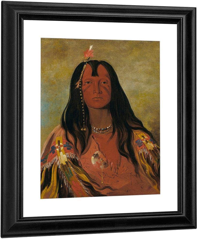 H'co A H'co A H'cotes Min, No Horns On His Head, A Brave By George Catlin Fine Art Print
