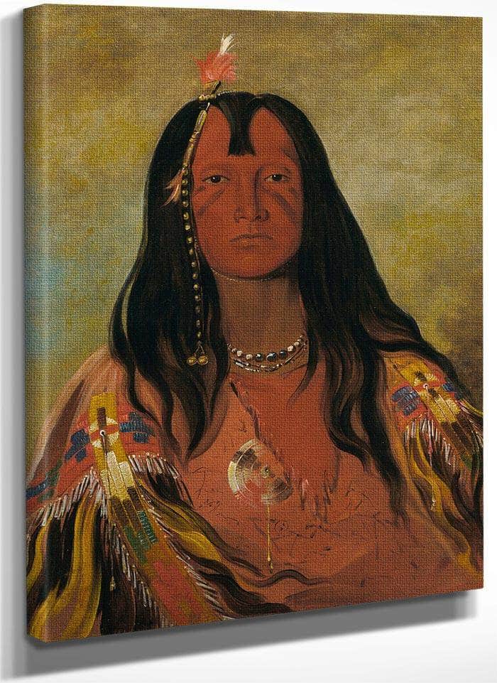 H'co A H'co A H'cotes Min, No Horns On His Head, A Brave By George Catlin Fine Art Print