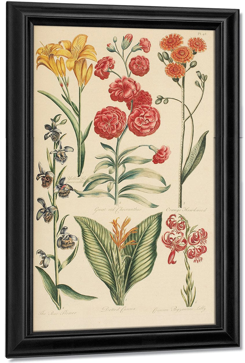 Hale, Thomas By Marion Boyd Allen Fine Art Print