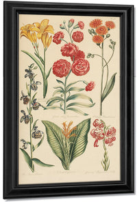 Hale, Thomas By Marion Boyd Allen Fine Art Print