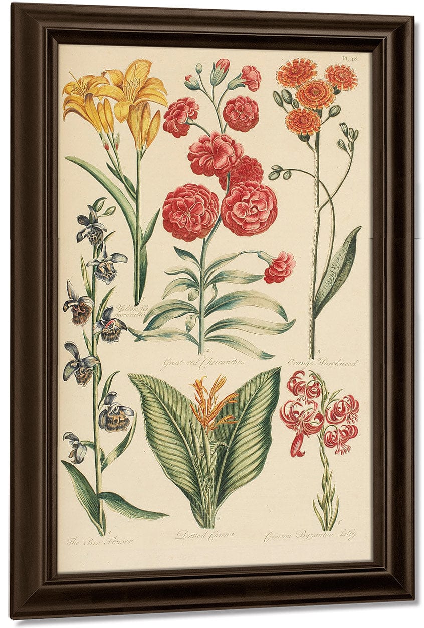 Hale, Thomas By Marion Boyd Allen Fine Art Print