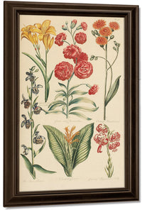 Hale, Thomas By Marion Boyd Allen Fine Art Print