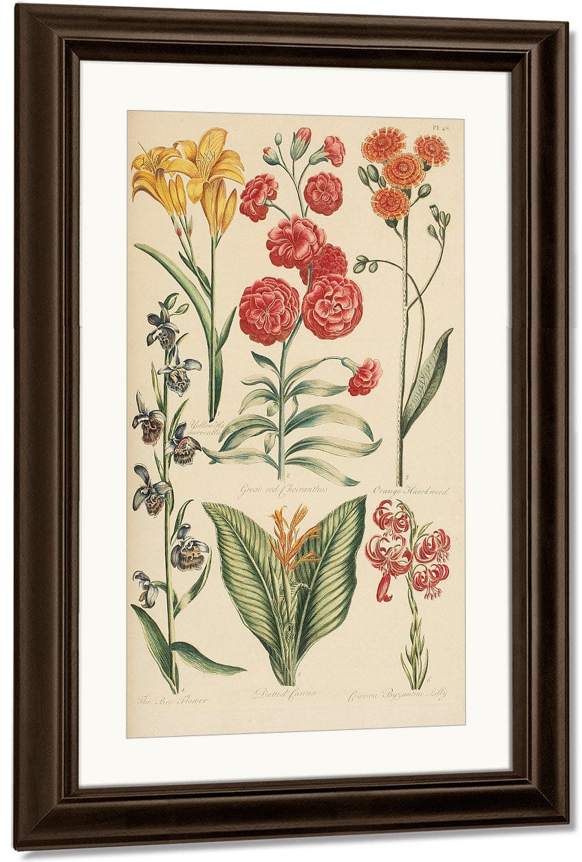 Hale, Thomas By Marion Boyd Allen Fine Art Print