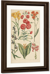 Hale, Thomas By Marion Boyd Allen Fine Art Print