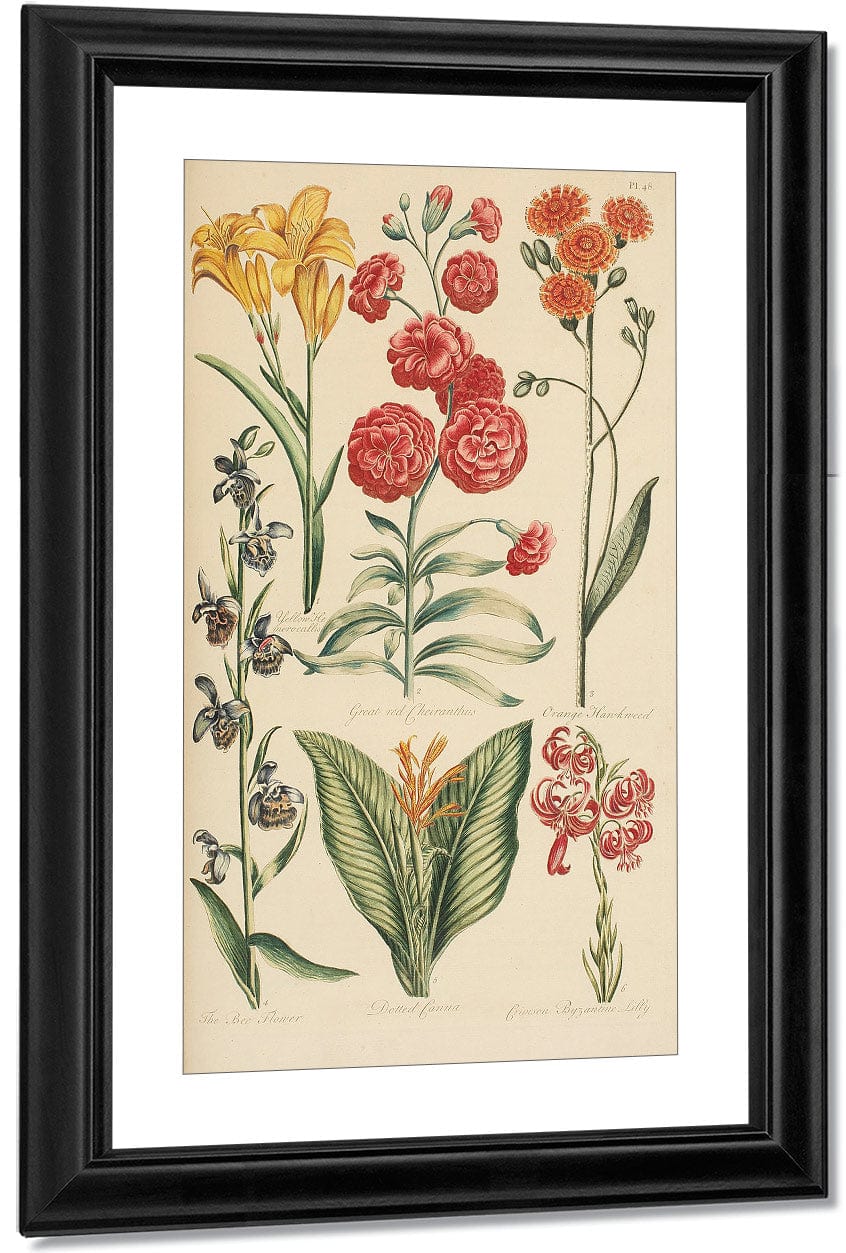 Hale, Thomas By Marion Boyd Allen Fine Art Print