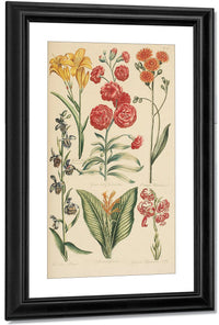 Hale, Thomas By Marion Boyd Allen Fine Art Print