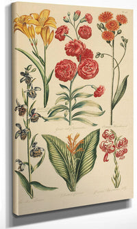 Hale, Thomas By Marion Boyd Allen Fine Art Print