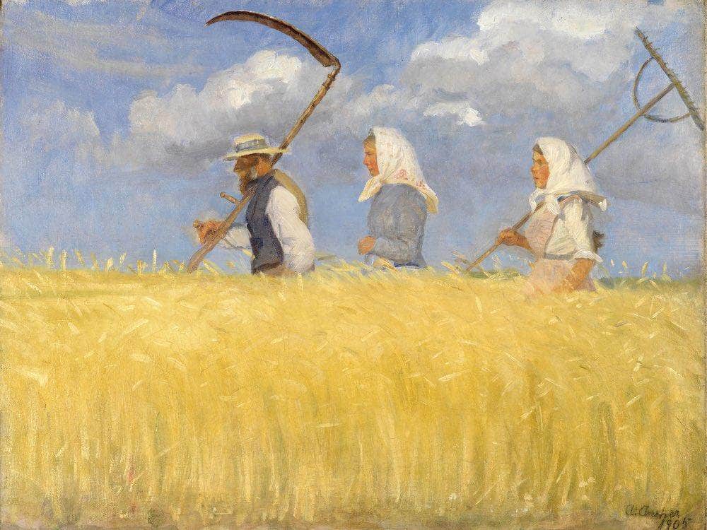 Harvesters 1905 By Anna Ancher Fine Art Print