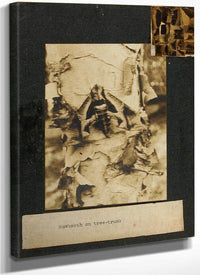 Hawkmoth On Tree Trunk, Study Folder For Book Concealing Coloration In The Animal Kingdom By Abbott Handerson Thayer Fine Art Print