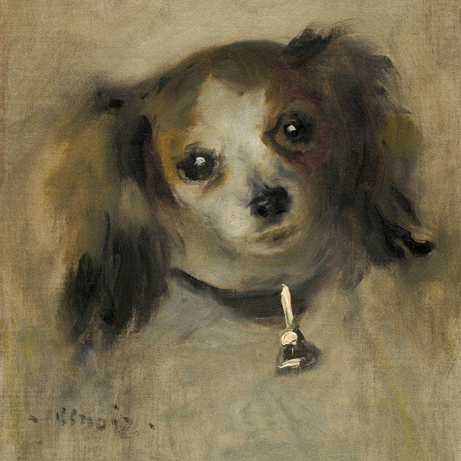 Head Of A Dog Pierre Auguste Renoir Fine Art Print