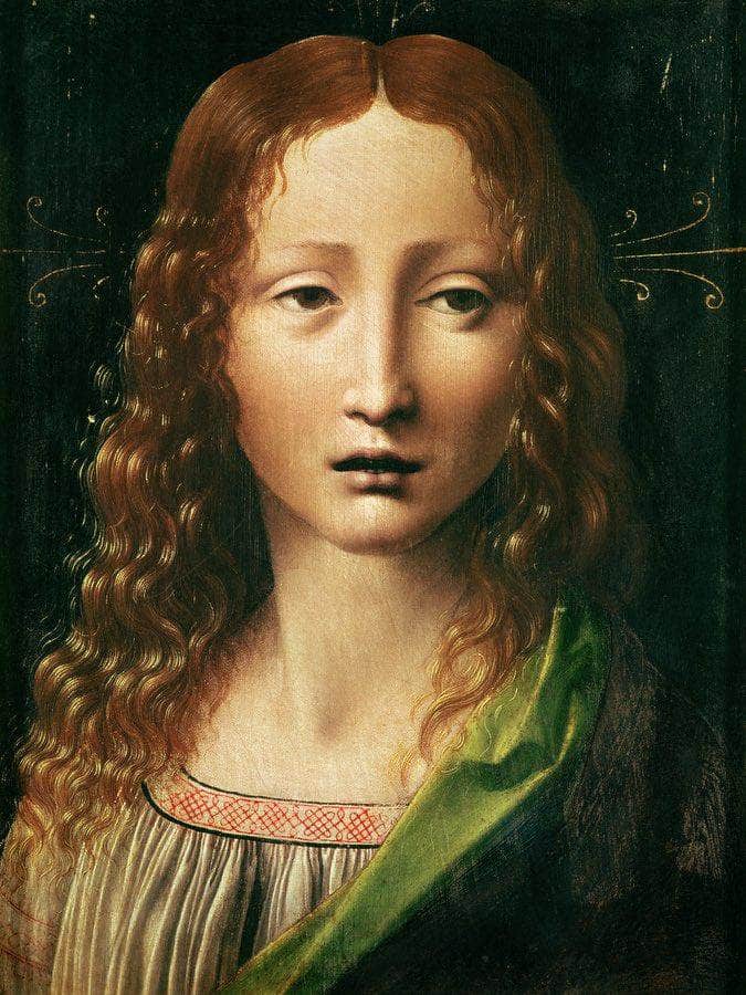 Head Of The Saviour (Oil On Panel) By Leonardo Da Vinci Fine Art Print