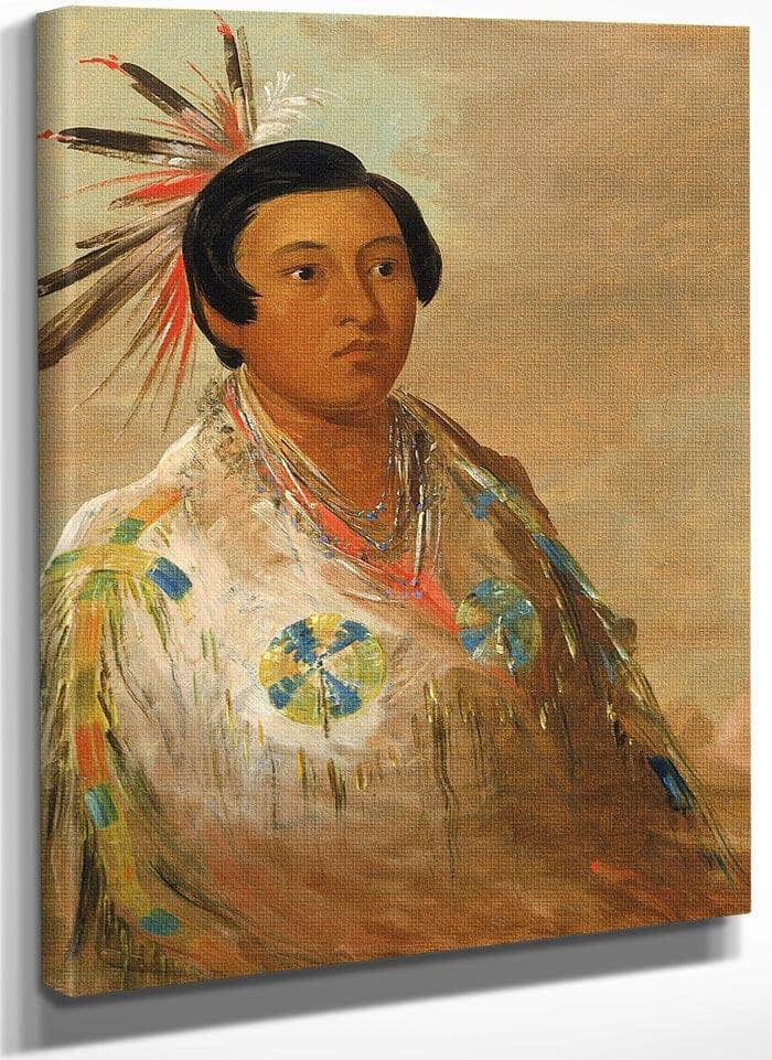 Hee Doh'ge Ats, A Young Man By George Catlin Fine Art Print
