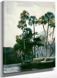 Homosassa River By Winslow Homer Fine Art Print