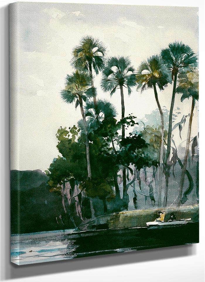 Homosassa River By Winslow Homer Fine Art Print