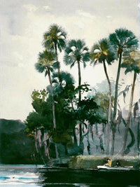 Homosassa River By Winslow Homer Fine Art Print