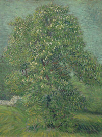 Horse Chestnut Tree In Blossom By Vincent Van Gogh Fine Art Print