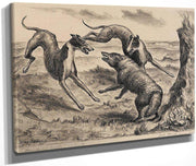 Hounds And Coyote (C. 12), 1931 By John Steuart Curry Fine Art Print