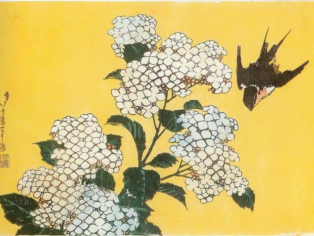 Hydrangea And Swallow By Hokusai Fine Art Print