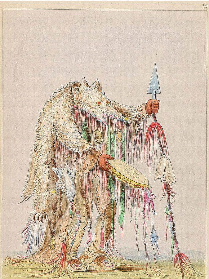 Illustrations Of The Manners, Customs, And Condition Of The North American Indians. London Henry Bohn, 1857 And 1866 By George Catlin Fine Art Print