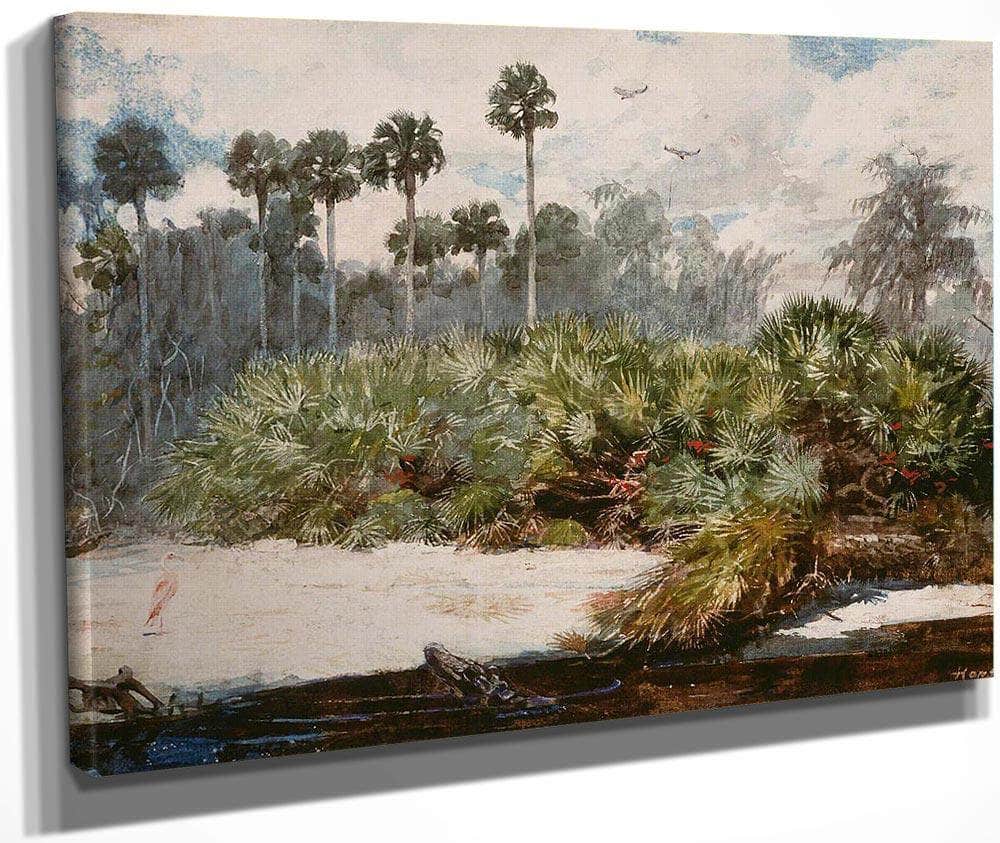 In A Florida Jungle By Winslow Homer Fine Art Print