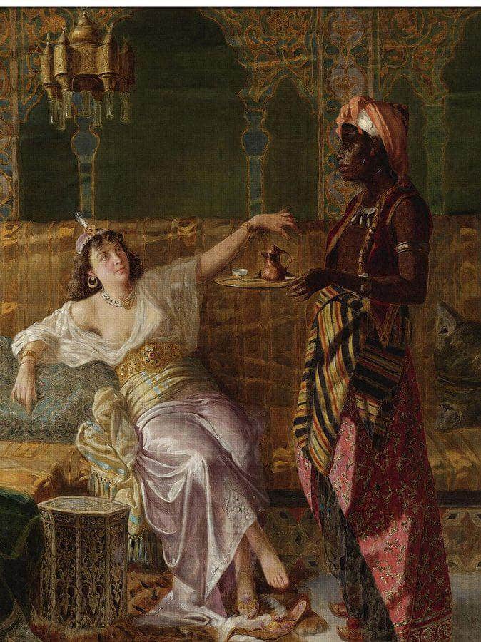 In The Harem 2 By Vincent Stiepevich Fine Art Print