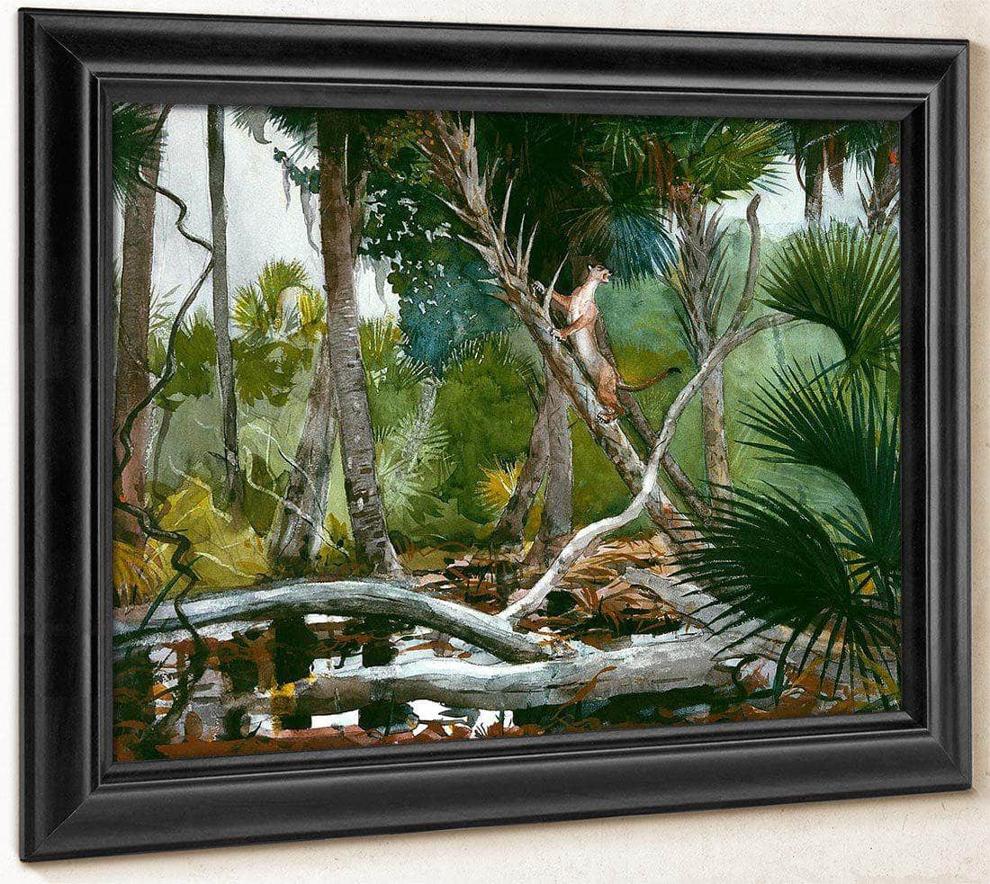 In The Jungle Florida By Winslow Homer Fine Art Print