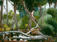 In The Jungle Florida By Winslow Homer Fine Art Print