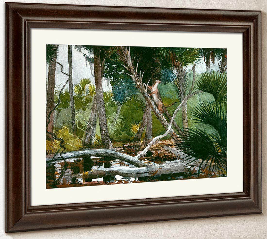 In The Jungle Florida By Winslow Homer Fine Art Print