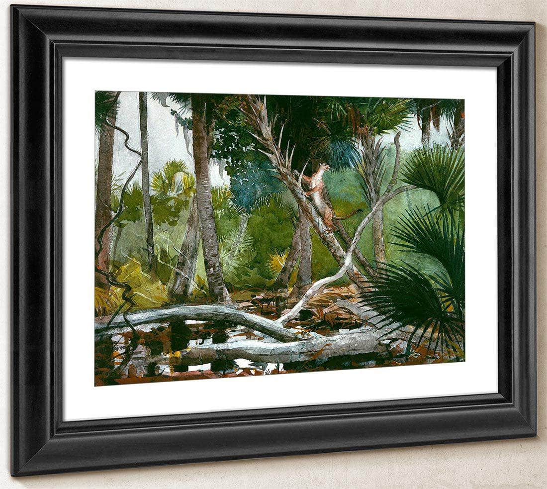 In The Jungle Florida By Winslow Homer Fine Art Print