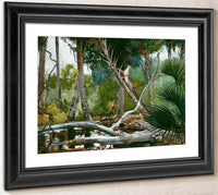 In The Jungle Florida By Winslow Homer Fine Art Print